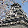 Kumamoto Castle.