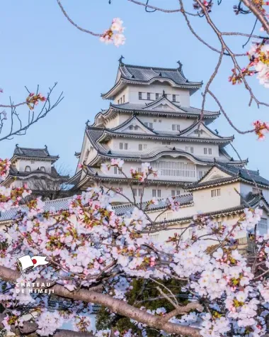 Chateau de Himeji - Sakura