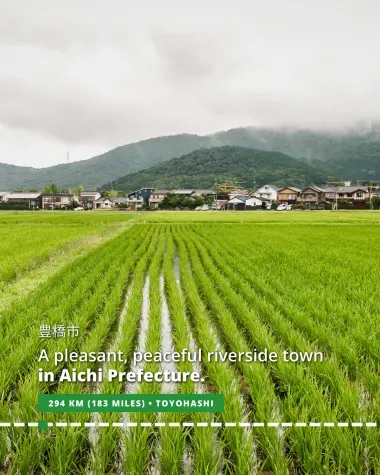 Aichi prefecture and its rice field 