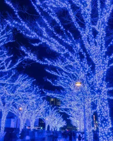 Illuminations de la Shibuya Blue Cave