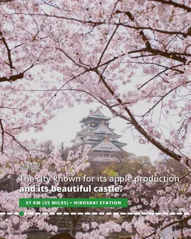 Hirosaki is known for its apple production and its beautiful castle