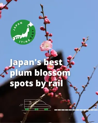 Japan's best plum blossom spots by rail