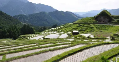 The puzzle of rice fields is inscribed in the rocks. 