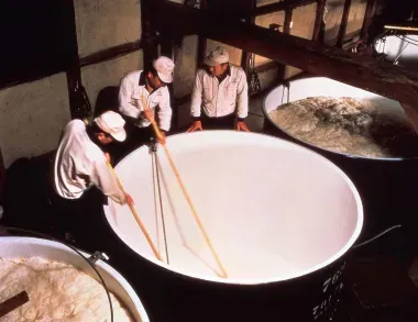 Brasserie de saké