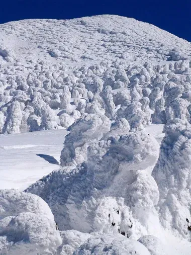 Les monstres de neige du mont Hakkoda