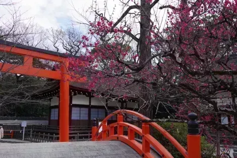 Shimogawamo jinja, Kyoto