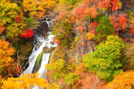 Nikko Kirifuri waterfalls, in beautiful autumn colours