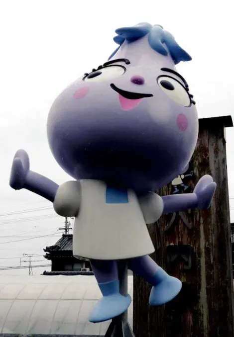 Kuroshio Mascot 3
