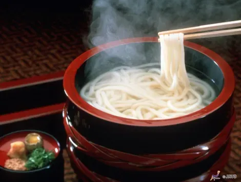 Udon Noodles
