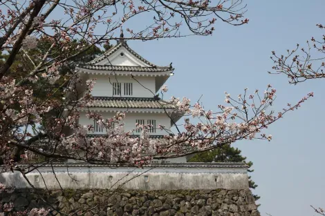 castle sakura