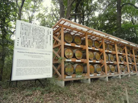 Du vin de Bourgogne au sanctuaire de Meiji à Tokyo
