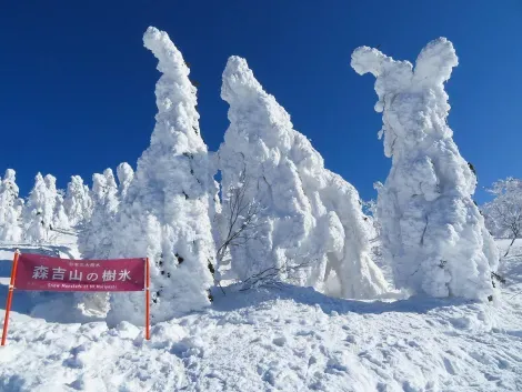 Snow monsters du mont Moriyoshi