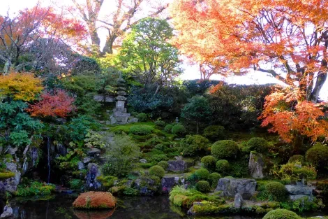 L'automne au temple Jikko-in