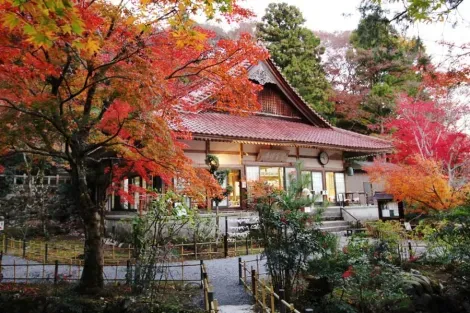Le jardin du temple Shôbô-ji