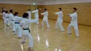 Japan Visitor - karatekaikan1.jpg