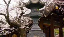 Il santuario Yasukuni-jinja a Tokyo è situato in un luogo consacrato alla Storia della guerra del Giappone.