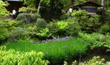 El pequeño jardín del museo Nezu esconde cuatro chashistu, casas de té.