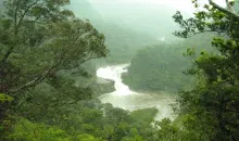 Urauchi River, Iriomote