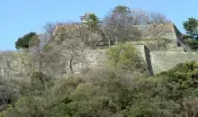 Japan Visitor - marugame-castle-10.jpg