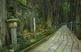 Un camino a través del antiguo cementerio budista Okunoin en Koyasan