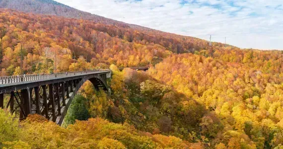 Bridge surrounded by autumn leaves, Aomori